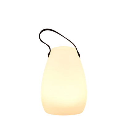 Hom & Ember – Lumina Fusion Lamp - Hom & Ember